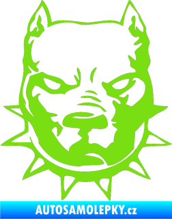 Samolepka Pitbull hlava 002 levá zelená kawasaki