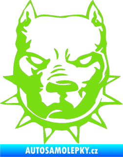 Samolepka Pitbull hlava 002 pravá zelená kawasaki