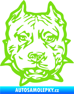Samolepka Pitbull hlava 003 pravá zelená kawasaki