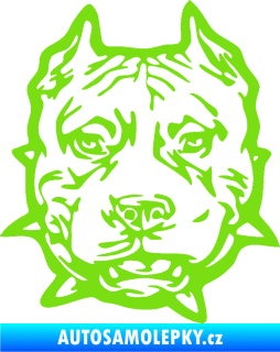 Samolepka Pitbull hlava 003 levá zelená kawasaki