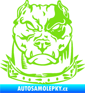 Samolepka Pitbull hlava 005 levá zelená kawasaki