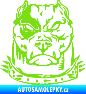 Samolepka Pitbull hlava 005 pravá zelená kawasaki