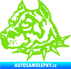 Samolepka Pitbull hlava 006 levá zelená kawasaki
