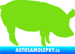 Samolepka Prase 001 pravá zelená kawasaki