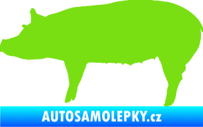 Samolepka Prase 002 levá zelená kawasaki