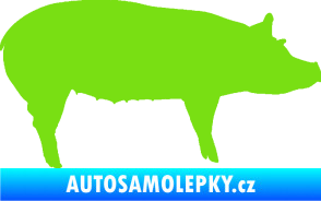 Samolepka Prase 002 pravá zelená kawasaki