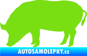 Samolepka Prase 004 levá zelená kawasaki