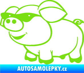 Samolepka Prase 006 levá frajer v brýlích zelená kawasaki
