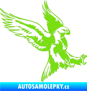 Samolepka Predators 003 pravá zelená kawasaki
