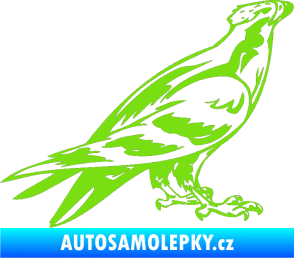 Samolepka Predators 006 pravá zelená kawasaki