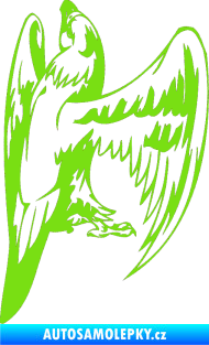 Samolepka Predators 018 pravá zelená kawasaki
