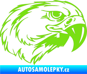 Samolepka Predators 031 pravá zelená kawasaki