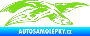 Samolepka Predators 032 pravá zelená kawasaki