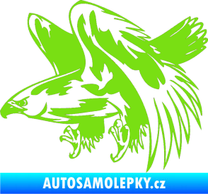 Samolepka Predators 034 levá zelená kawasaki
