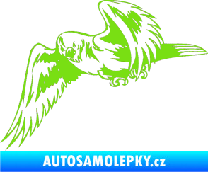 Samolepka Predators 036 levá zelená kawasaki