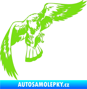 Samolepka Predators 041 pravá zelená kawasaki