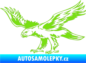 Samolepka Predators 043 levá zelená kawasaki