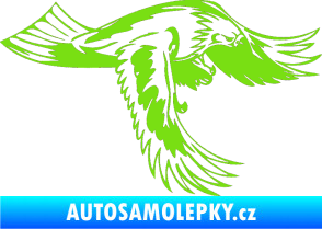 Samolepka Predators 048 pravá zelená kawasaki