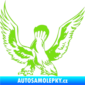 Samolepka Predators 051 pravá zelená kawasaki