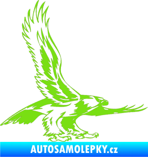 Samolepka Predators 068 pravá zelená kawasaki