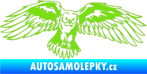 Samolepka Predators 077 pravá sova zelená kawasaki