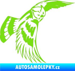 Samolepka Predators 081 pravá sova zelená kawasaki