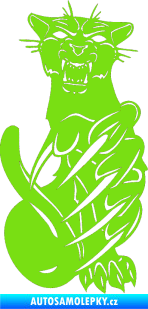 Samolepka Predators 110 pravá puma zelená kawasaki