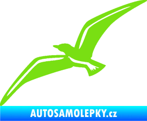 Samolepka Racek 001 levá zelená kawasaki