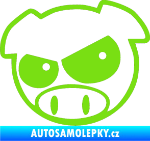 Samolepka Rally pig 002 levá zelená kawasaki