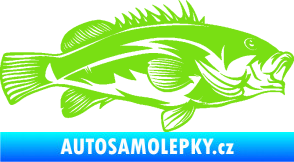 Samolepka Ryba 005 pravá zelená kawasaki