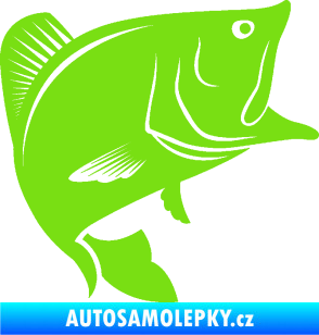 Samolepka Ryba 009 pravá zelená kawasaki
