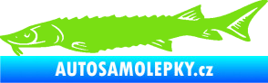 Samolepka Ryba 020 levá jeseter zelená kawasaki