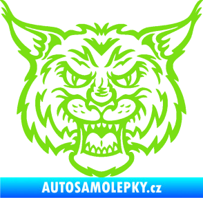 Samolepka Rys 001 zelená kawasaki