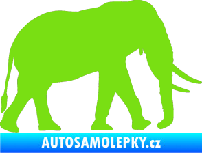 Samolepka Slon 002 pravá zelená kawasaki