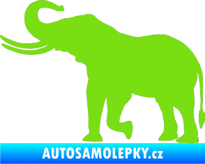 Samolepka Slon 003 levá zelená kawasaki