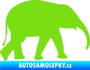 Samolepka Slon 017 pravá zelená kawasaki