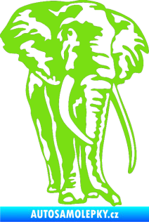 Samolepka Slon 025 pravá zelená kawasaki