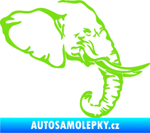 Samolepka Slon 030 pravá hlava zelená kawasaki