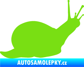 Samolepka Šnek 002 pravá zelená kawasaki