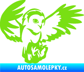 Samolepka Sova 006 pravá zelená kawasaki