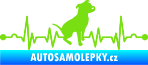 Samolepka Srdeční tep 007 pravá pitbull zelená kawasaki