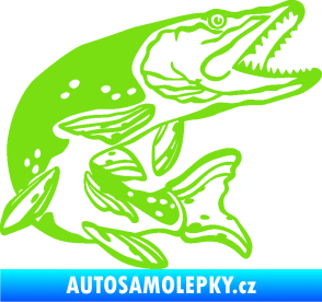 Samolepka Štika 002 pravá zelená kawasaki