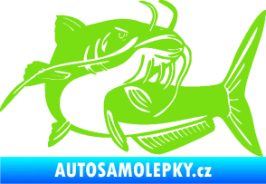 Samolepka Sumec 001 pravá zelená kawasaki