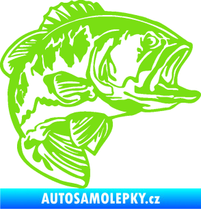 Samolepka Sumec 007 pravá zelená kawasaki
