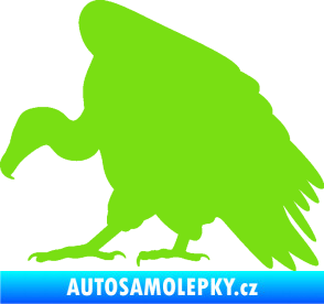 Samolepka Sup 001 levá zelená kawasaki