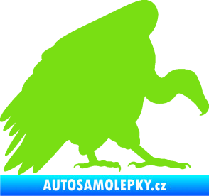Samolepka Sup 001 pravá zelená kawasaki