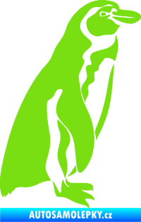 Samolepka Tučňák 001 pravá zelená kawasaki