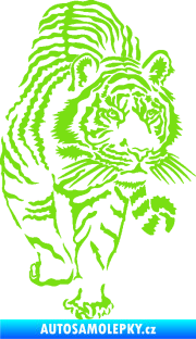 Samolepka Tygr 001 pravá zelená kawasaki