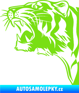 Samolepka Tygr 002 levá zelená kawasaki
