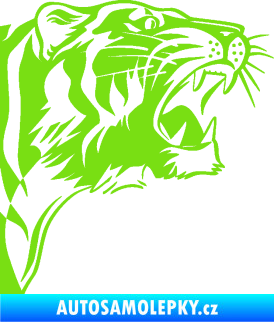 Samolepka Tygr 002 pravá zelená kawasaki
